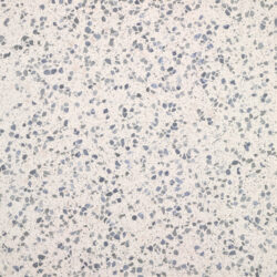 Terrazzo Macro Azzurro 60x60