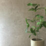 Keramisk flise Contempo Ecru