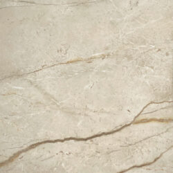 Silver Root Beige rt. 60x60