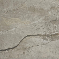 Silver Root Grey rt. 60x60