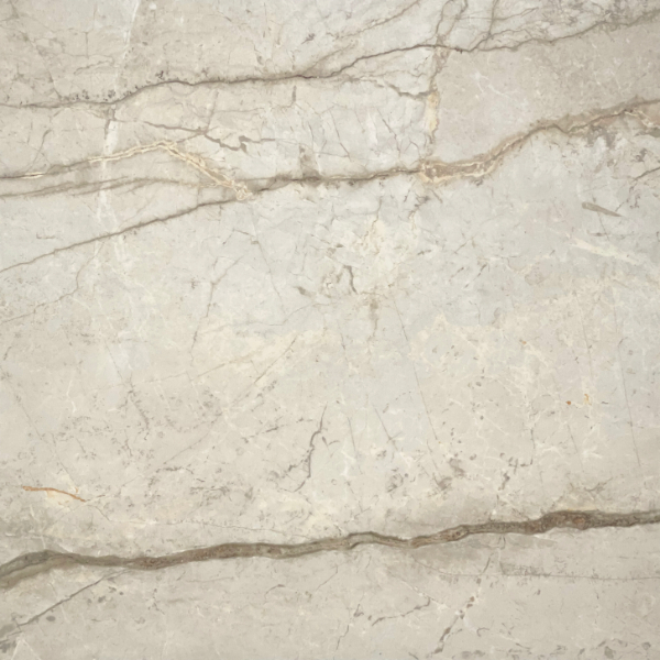 Silver Root White rt. 60x60