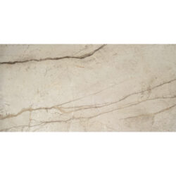Silver Root Beige rt. 60x120