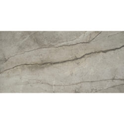 Silver Root Grey rt. 60x120